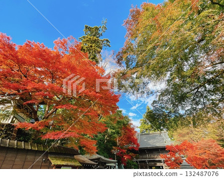 高尾山藥王院紅葉風景 132487076