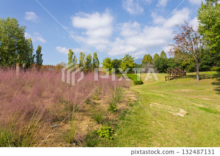 群馬花卉公園及哈拉帕地區遊樂園 132487131