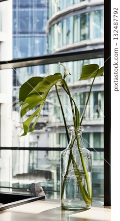 Monstera leaves in glass vase on office windowsill 132487792