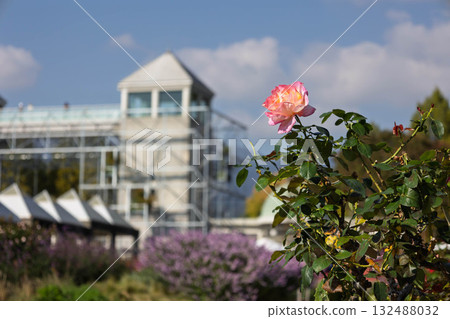 群馬縣前橋市群馬花卉公園Plus 群馬縣前橋市群馬花卉公園Plus 132488032