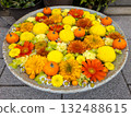 Colorful flower hand water 132488615
