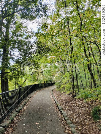 Hiking trail (Chichibu Muse Park/Chichibu City, Saitama Prefecture) 132489365