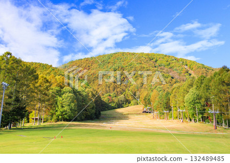 Fujimi Panorama Resort (Nyukasayama) at its best when the autumn leaves are in full bloom Fujimi Panorama Resort (Nyukasayama) at its best when the autumn leaves are in full bloom 132489485