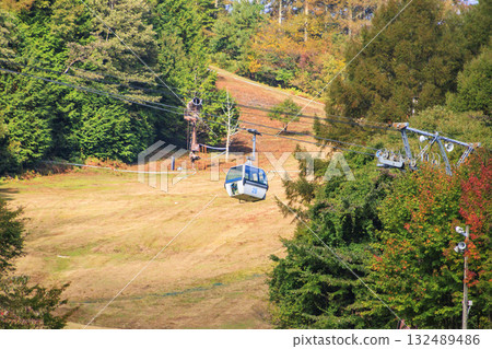 Fujimi Panorama Resort (Nyukasayama) at its best when the autumn leaves are in full bloom 132489486