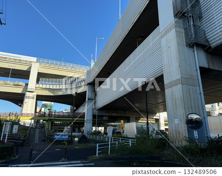 Beauty tree junction 132489506