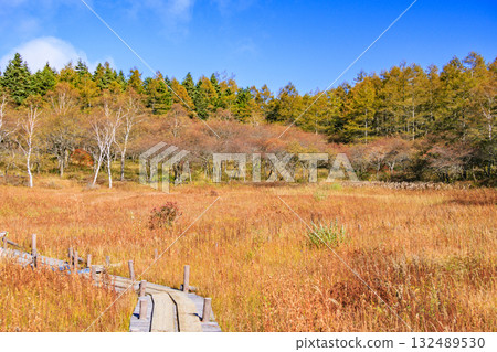 Fujimi Panorama Resort (Nyukasayama) at its best when the autumn leaves are in full bloom 132489530