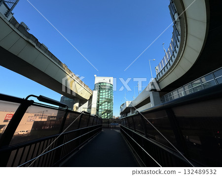 Beauty tree junction 132489532