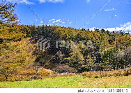 Fujimi Panorama Resort (Nyukasayama) at its best when the autumn leaves are in full bloom 132489545