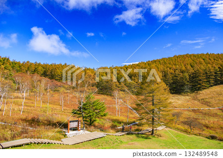 Fujimi Panorama Resort (Nyukasayama) at its best when the autumn leaves are in full bloom Fujimi Panorama Resort (Nyukasayama) at its best when the autumn leaves are in full bloom 132489548