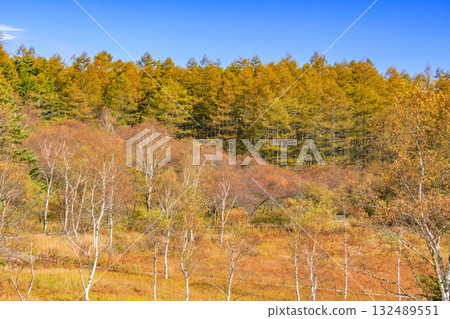 富士見全景度假村（入笠山）在秋葉盛開時最美 132489551