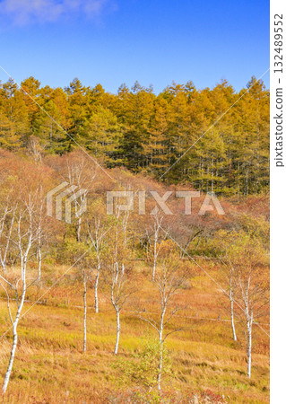 富士見全景度假村（入笠山）在秋葉盛開時最美 132489552