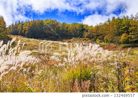 富士見全景度假村（入笠山）在秋葉盛開時最美 132489557