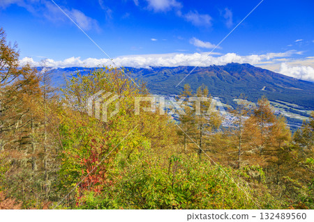 Fujimi Panorama Resort (Nyukasayama) at its best when the autumn leaves are in full bloom 132489560