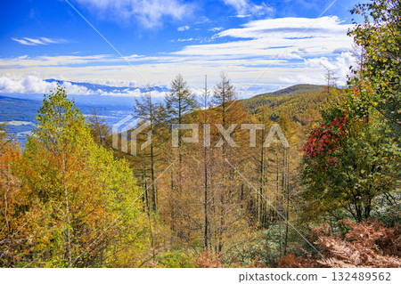富士見全景度假村(入笠山)在秋葉盛開時最美 富士見全景度假村(入笠山)在秋葉盛開時最美 132489562