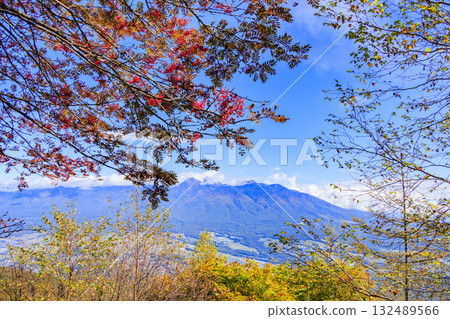 Fujimi Panorama Resort (Nyukasayama) at its best when the autumn leaves are in full bloom 132489566