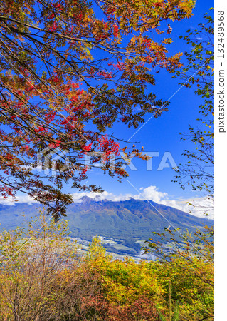 Fujimi Panorama Resort (Nyukasayama) at its best when the autumn leaves are in full bloom 132489568
