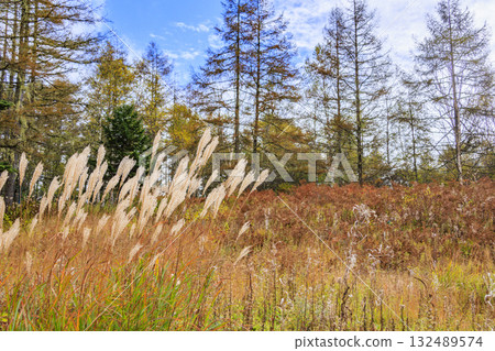 富士見全景度假村（入笠山）在秋葉盛開時最美 132489574