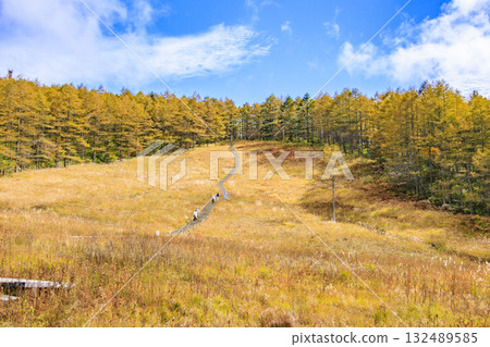 Fujimi Panorama Resort (Nyukasayama) at its best when the autumn leaves are in full bloom Fujimi Panorama Resort (Nyukasayama) at its best when the autumn leaves are in full bloom 132489585