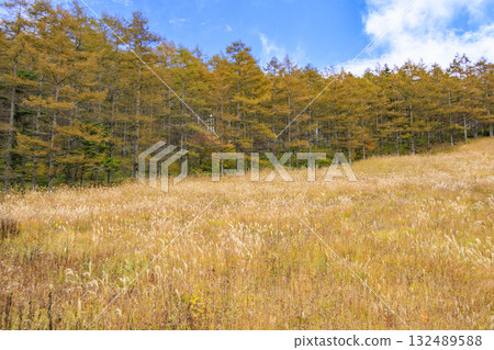 富士見全景度假村（入笠山）在秋葉盛開時最美 132489588