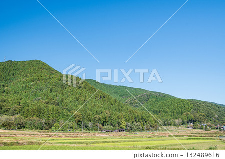 滋賀縣高島市牧野寧靜的田園風光 132489616