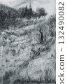 Charcoal sketch of a serene landscape, with lush vegetation and a sense of tranquility 132490082