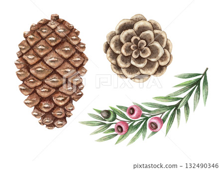 Set of yew branch and pine cones hand drawn in watercolor with sparkling pencil texture. Green leaves and pink berries create a festive botanical look. Perfect for Christmas card and other project. 132490346