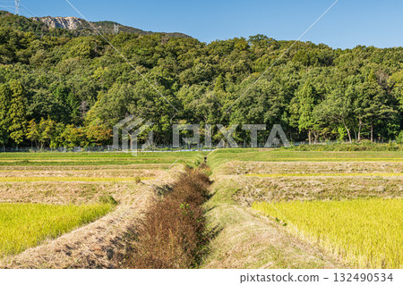 The tranquil rural scenery of Makino Town, Takashima City, Shiga Prefecture The tranquil rural scenery of Makino Town, Takashima City, Shiga Prefecture 132490534