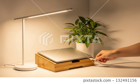 Modern workspace featuring a sleek laptop on a wooden stand, illuminated by a stylish lamp, with a vibrant green plant adding a touch of nature and tranquility to the environment 132491156