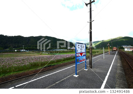 Tarumi Railway Rail Bus 132491486