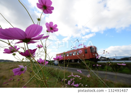 Tarumi Railway Rail Bus 132491487