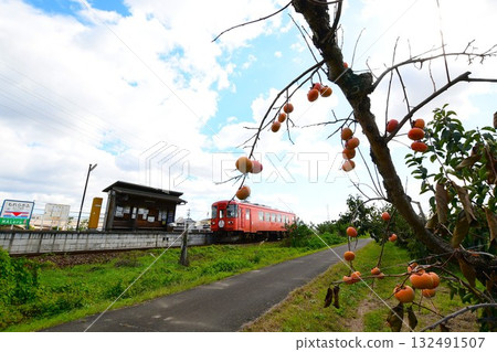 Tarumi Railway Rail Bus 132491507