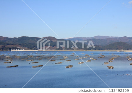 Oyster rafts in Hirota Bay 132492309