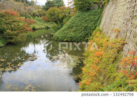 秋葉盛開時,鶴城最美 秋葉盛開時,鶴城最美 132492706