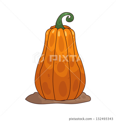 illustration of Pumpkin 132493343