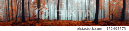 A panoramic view of a misty forest with tall trees. The ground is covered in orange and red leaves, creating a serene autumn atmosphere. 132493373