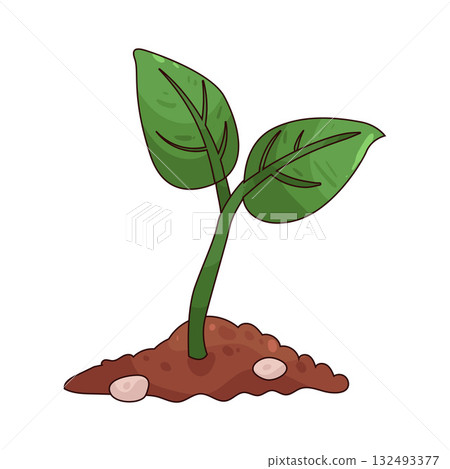 illustration of Seedling 132493377