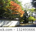 京都御苑的秋景：歷史空間與紅葉的對比 132493666