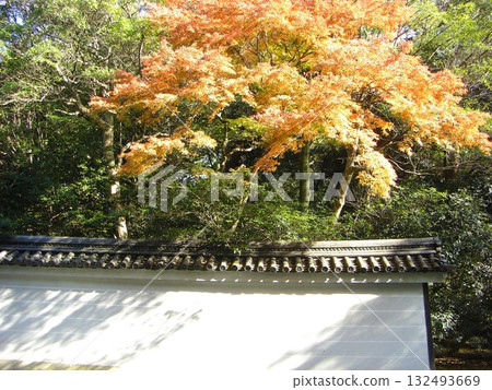 皇居花園的紅葉:倒映在水面上的秋色 皇居花園的紅葉:倒映在水面上的秋色 132493669