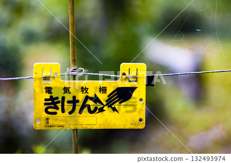 Electric fence for animal damage prevention 132493974