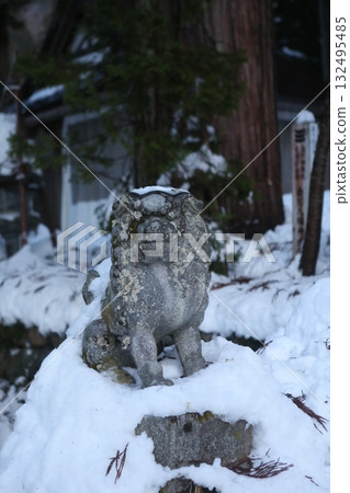 Guardian dog 132495485