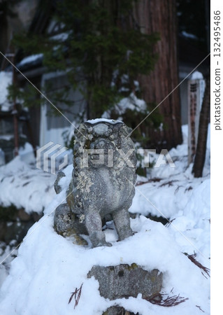 Guardian dog 132495486