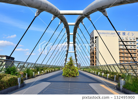 Omiya Hokosugi Bridge crossing the railroad tracks near Omiya Shintoshin Station 132495900