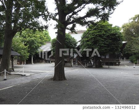 Wooden shrine and grounds nestled in a solemn forest Wooden shrine and grounds nestled in a solemn forest 132496012