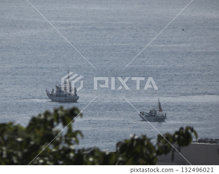 A landscape of ships sailing offshore, the sea, and greenery in the foreground that draws the eye 132496021