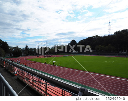 Athletics stadium where competitions are held under a green field and blue sky 132496040