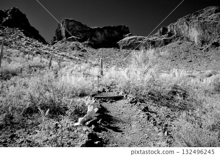 Monochrome Sonoran Desert Arizona Picacho Peak State Park Monochrome Sonoran Desert Arizona Picacho Peak State Park 132496245