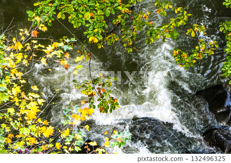 Autumn arrives in Matsukawa Valley, Hachimantai, turning yellow and red. Autumn arrives in Matsukawa Valley, Hachimantai, turning yellow and red. 132496325