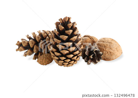 Decorative pine cones and walnuts perfect for crafts, on white, PNG 132496478