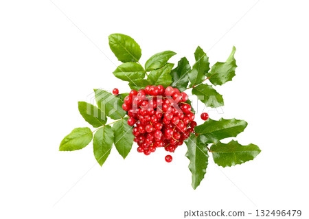 Red berries and green leaves spread holiday cheer, on white, PNG 132496479