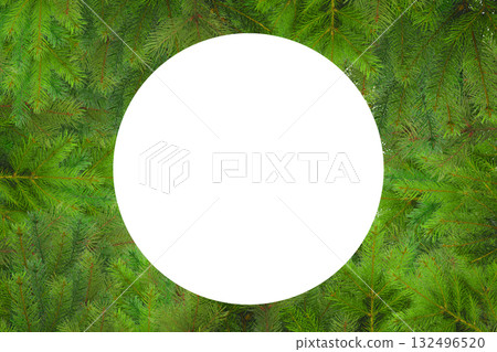 Green fir branches frame a blank circle, isolated, PNG Green fir branches frame a blank circle, isolated, PNG 132496520